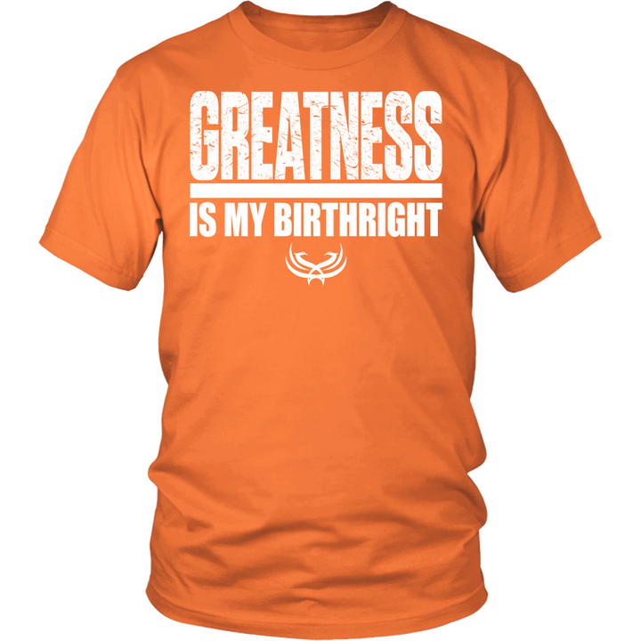 Greatness Is My Birthright District Unisex Shirt - Tru Nobilis